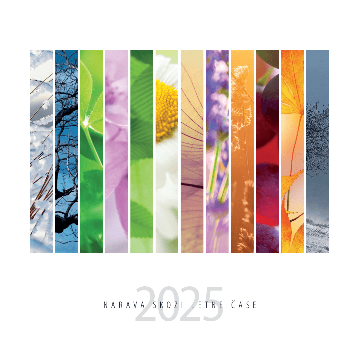 Art.100009 - Koledar BORI_stenski - NARAVA SKOZI LETNE ČASE: 300x300 mm - kvadrat, spirala sredina